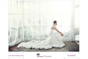 Dream Wedding Signature Singapore Top Bridal and wedding planner korea pre-wedding photoshoot 28