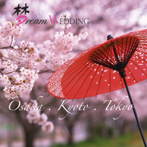 Japan pre wedding singapore dream wedding sakura winter