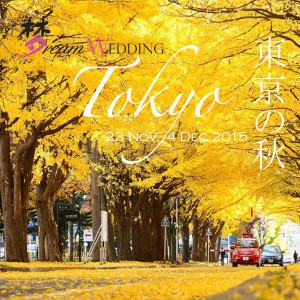 Tokyo Nov 2015 Japan Pre Wedding Photograpy Package Singapore Bridal Dream Wedding Boutique photoshoot package