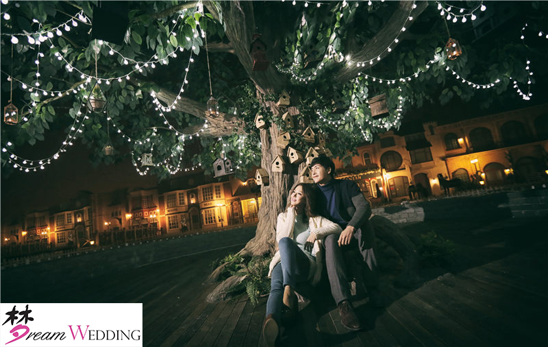 korean style photography singapore dream wedding