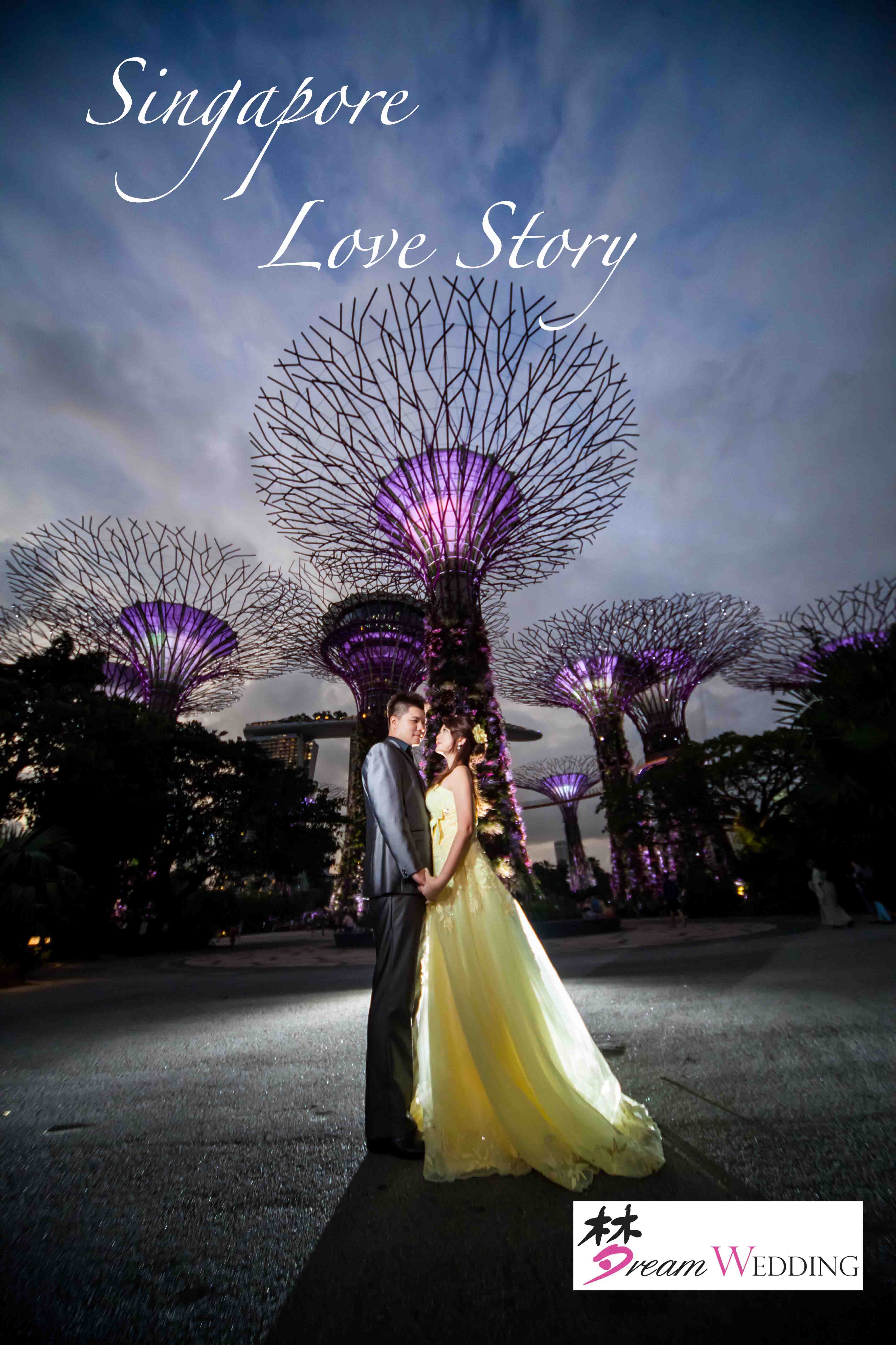 singapore pre wedding promotion